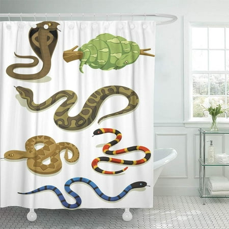YUSDECOR Aggression Black Anaconda Venomous Snake Cartoon Brown Forest  Amazon Bathroom Decor Bath Shower Curtain 66x72 inch | Walmart Canada