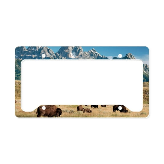 CafePress - Herd Of American Bison License Plate Holder - Aluminum License Plate Frame, License Tag Holder