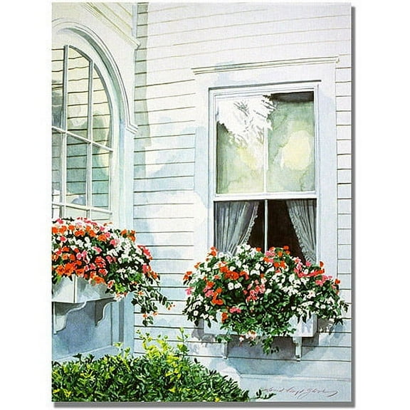 Trademark Art "Window Boxes" Canvas Wall Art by David Lloyd Glover