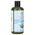 thumbnail image 4 of Petal Fresh Volumizing Shampoo, Rosemary & Mint, 16 fl oz (475 ml), 4 of 5