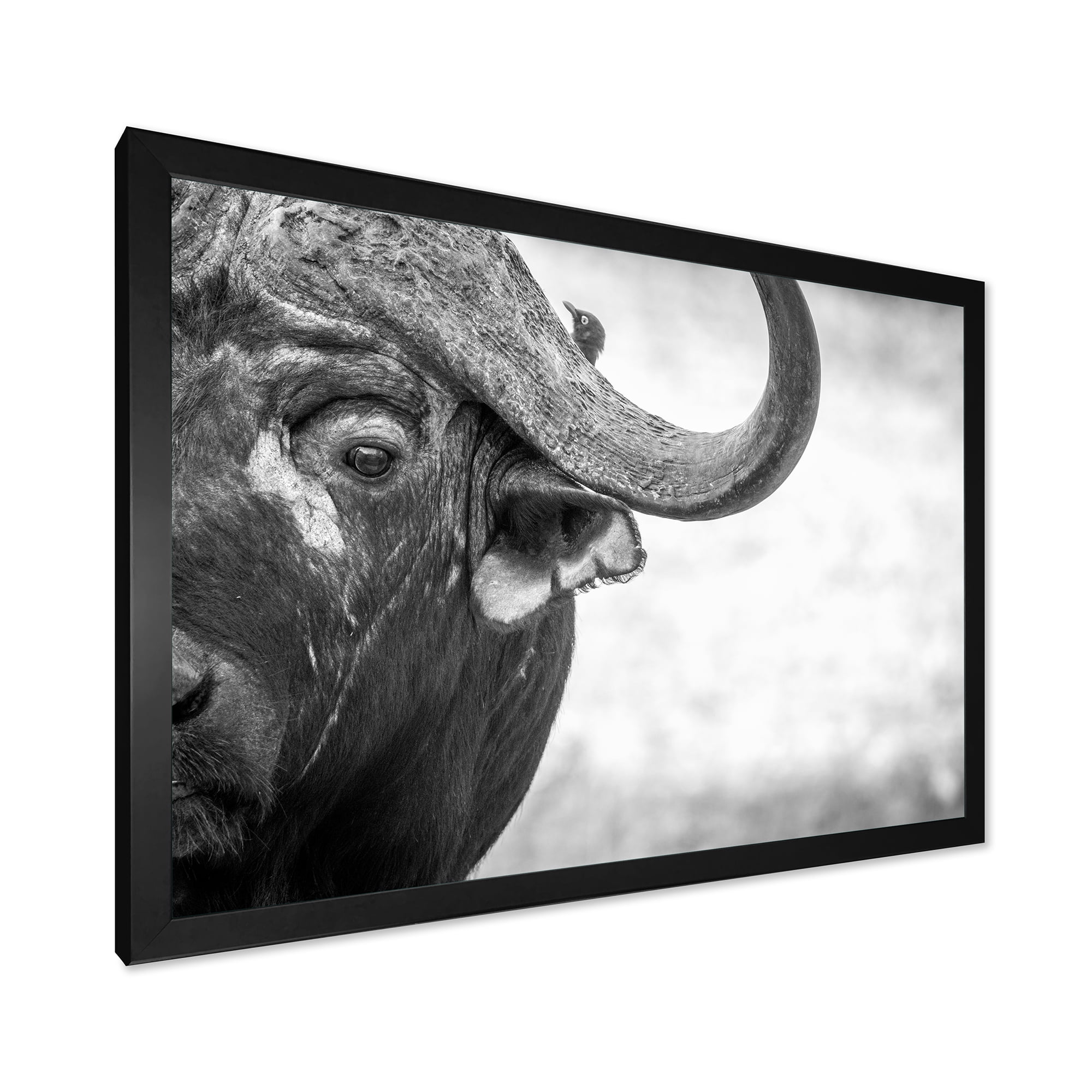 Designart 'Black and White Portrait Of Buffalo III' Farmhouse Framed Art Print