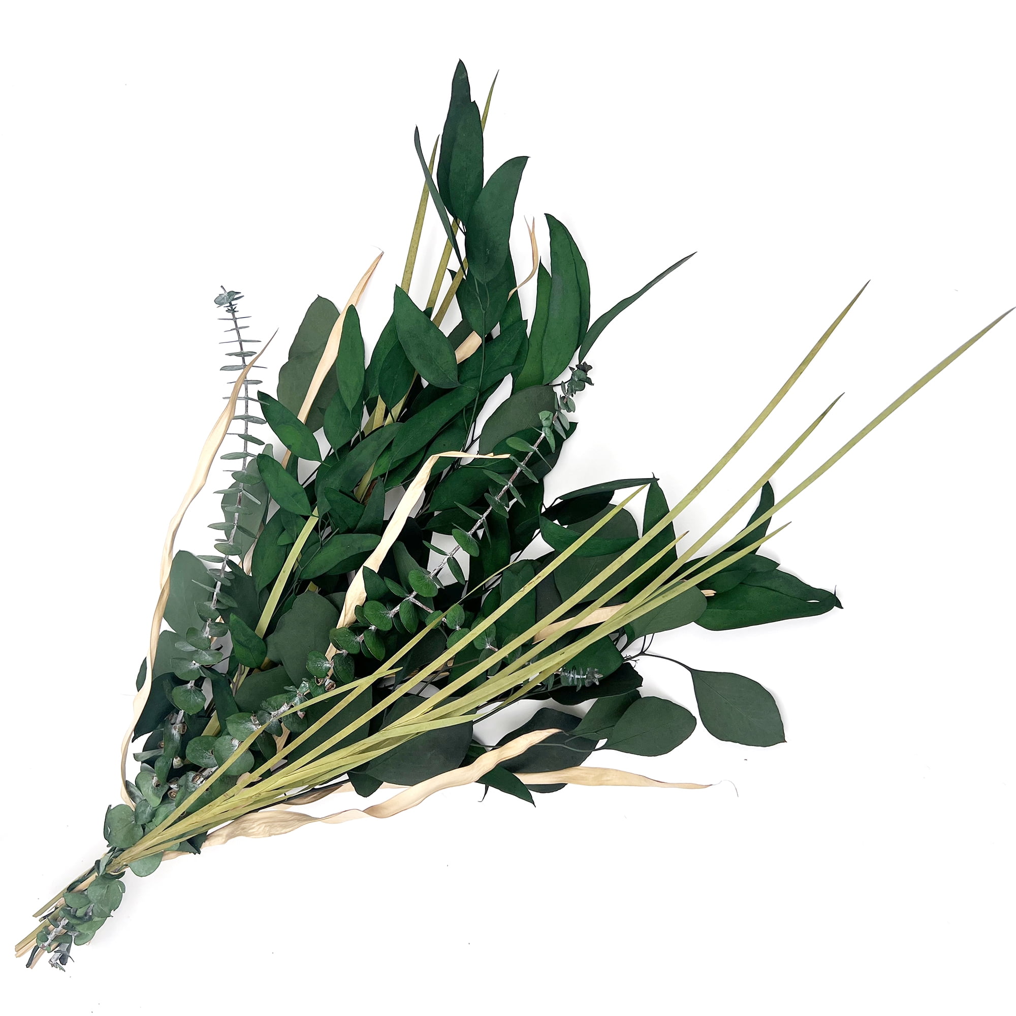 Botanical Avenue Eucalyptus Mix Green Bouquet - Indoor Decor, Artisan Crafted, Dried Floral Arrangement