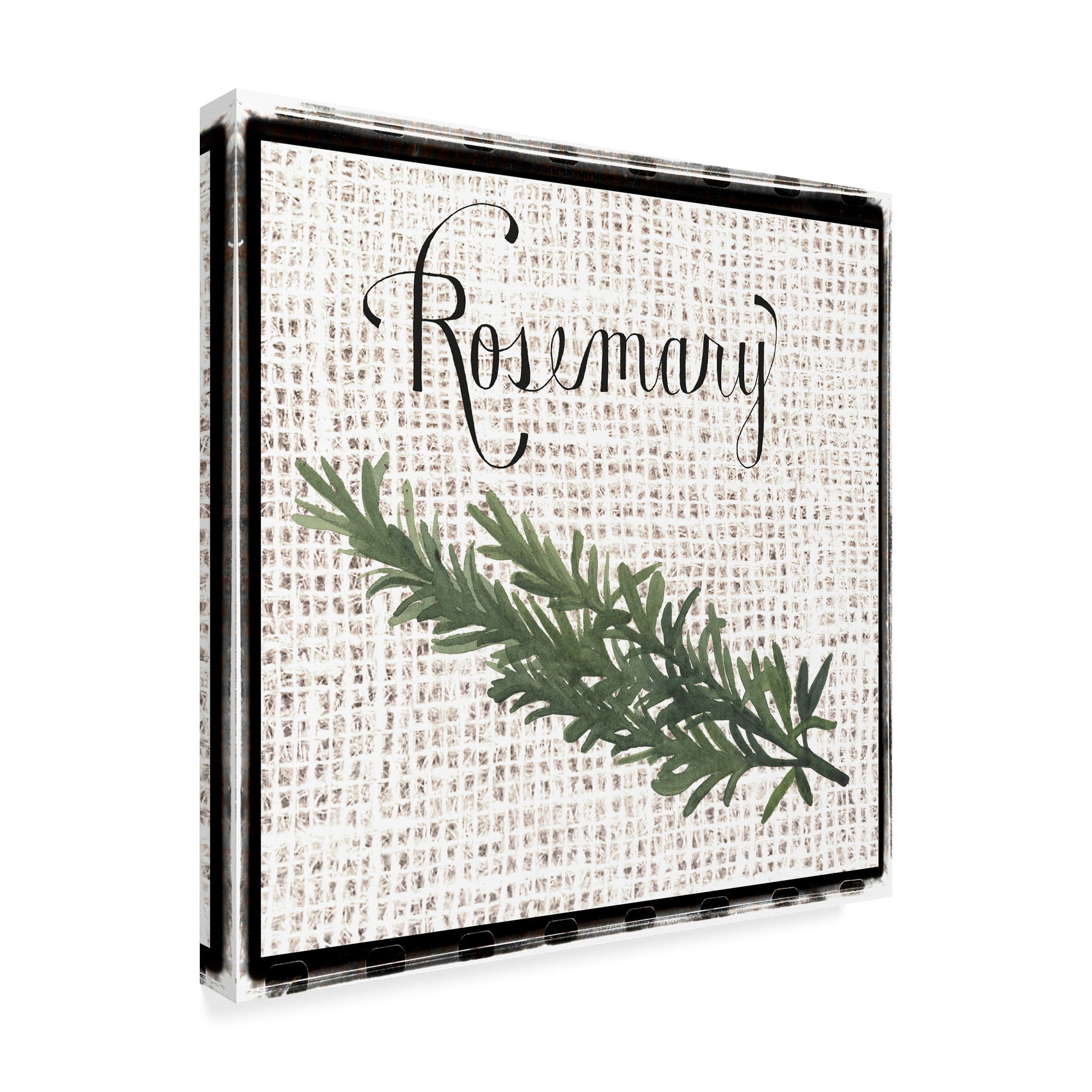 Trademark Fine Art 'Burlap Herbs I' Canvas Art by Grace Popp