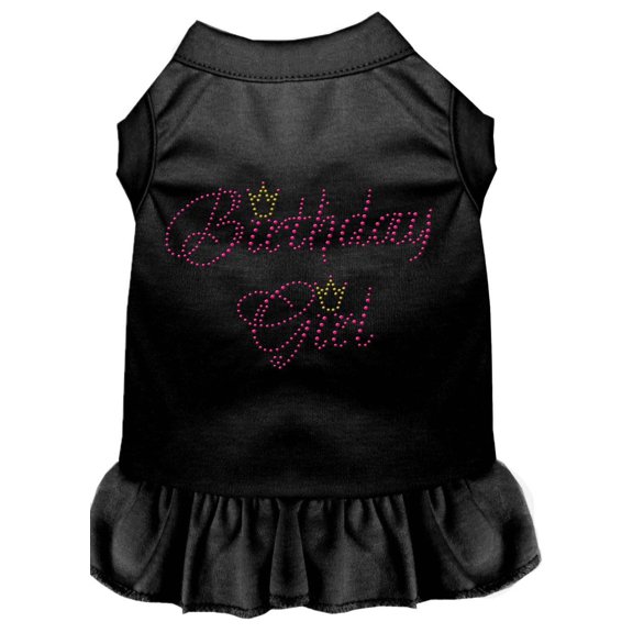 Pet Dog  Cat Dress Rhinestone, "Birthday Girl"