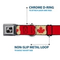 thumbnail image 5 of Buckle-Down Pet Collar, Dog Collar Metal Seatbelt Buckle, Canada Flag Painted, 20 to 31 Inches 1.5 Inch Wide, 5 of 8