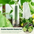 YEAUEME Cucumber Cultivation Mold Nontoxic Heart Star Shape Vegetable