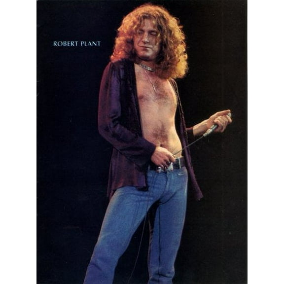 Robert Plant Poster Metal Print 12in x 16in Print on Metal 12x16 Square Adults Best Posters