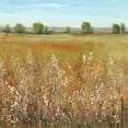 thumbnail image 2 of OToole, Tim 26x26 White Modern Wood Framed Museum Art Print Titled - Abundance of Wildflowers I, 2 of 4