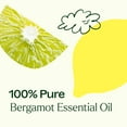 thumbnail image 5 of Plant Therapy Bergamot Essential Oil 100% Pure, Undiluted, Natural Aromatherapy  10 mL (1/3 oz), 5 of 8