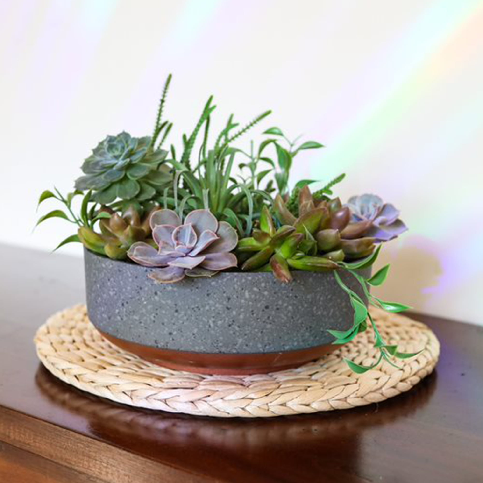 The HC Companies 8 In Capri Bowl Indoor Succulent Pot, Faux Concrete Copper