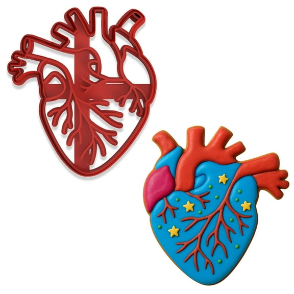 Anatomical Human Heart Cookie Cutter & Stamp 4x3.48" for Baking & Fondant Clay