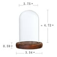 thumbnail image 2 of Decorative Glass Cloche Bell Jar Dome with Wooden Base Display Decor_Brown A, 2 of 8