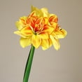 thumbnail image 6 of karymi Artificial Clivia Amaryllis Flower 1pcs Faux Realistic Blooms Tall 25.19 In Home Decor Wedding Centerpiece Vase Floral Arrangement Gifts for Women, 6 of 6