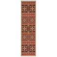 thumbnail image 5 of SAFAVIEH Veranda Moriah Southwestern Indoor/Outdoor Area Rug, 6'7" x 9'6", Red/Chocolate, 5 of 10