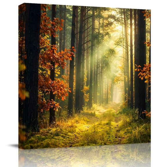 Wall Art Prints, Forest Framed Canvas Prints for Bedroom Living Room Bathroom Office, Sunlight Rustic Trees Orange Green Mystery Gallery Wrap Wall Art Poster for Gifts Home Decor 16"x16"