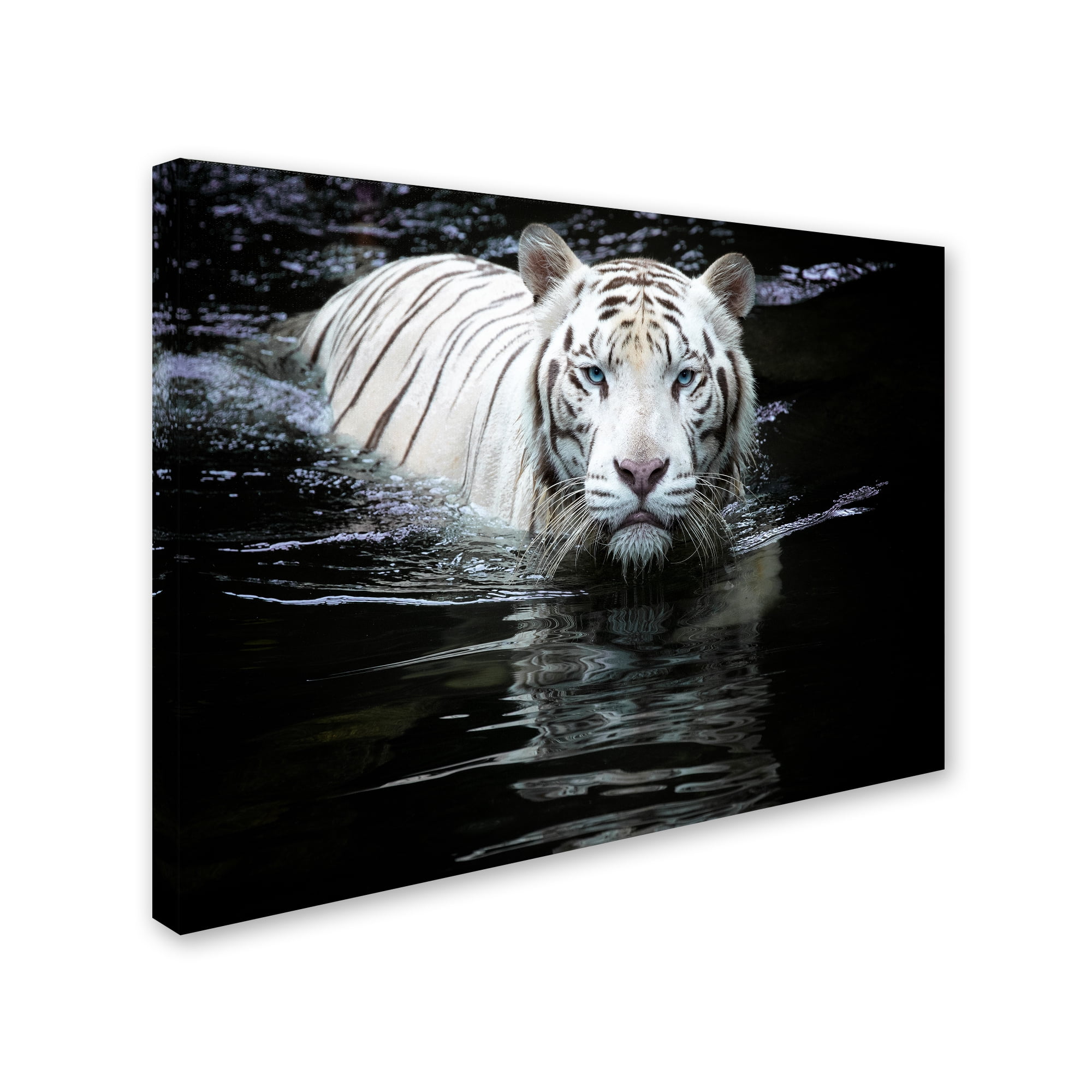 Trademark Fine Art 'Looking At Me Looking At You' Canvas Art by Renee Doyle