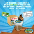 thumbnail image 3 of Nature Bound Butterfly Growing Kit - Live Caterpillar to Butterfly Project for Kids - Includes Voucher for Caterpillars, Green Pop-Up, Durable Nylon, 3 of 8