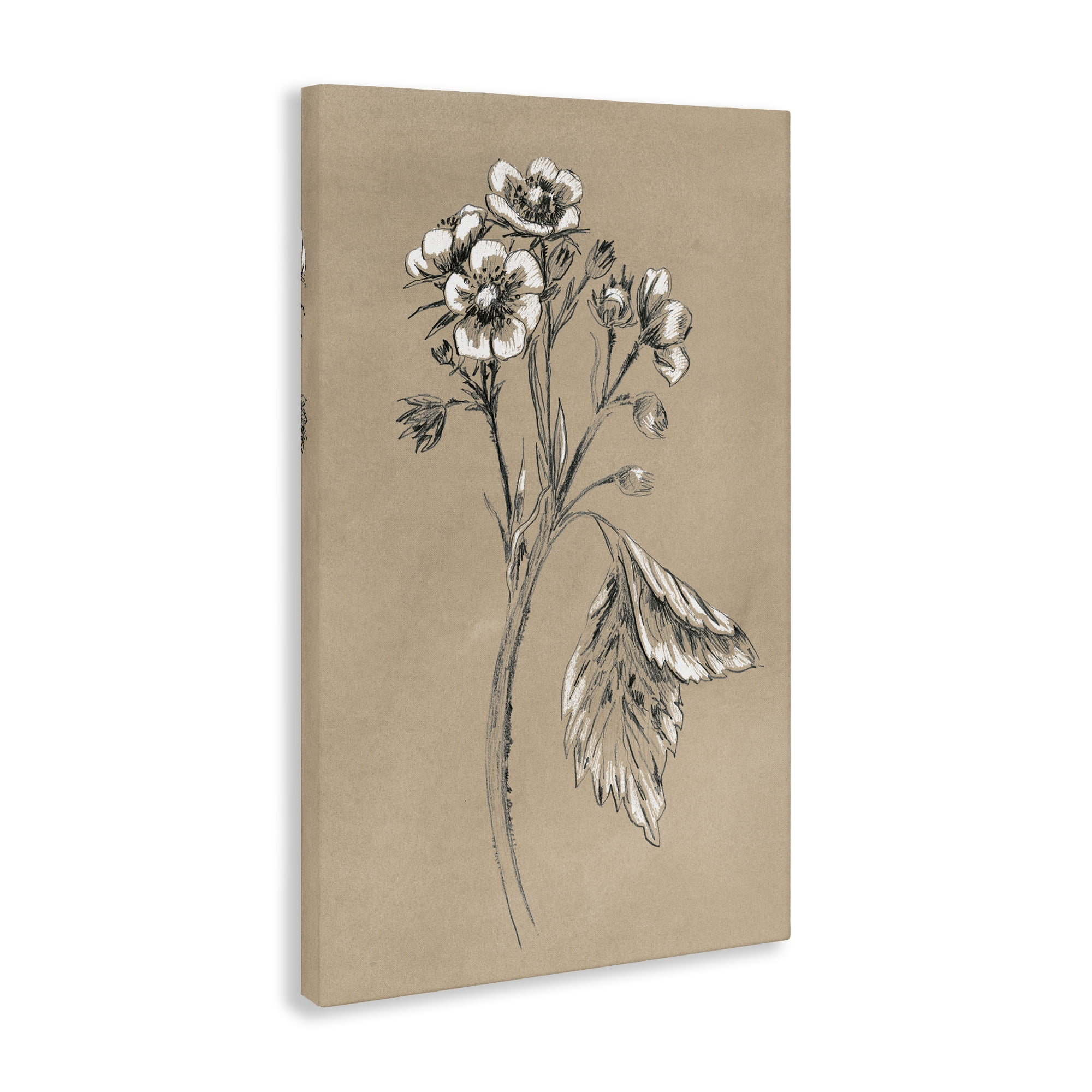 Stupell Industries Flower Sprig Sketch Botanical & Floral Drawing Gallery Wrapped Canvas Art Print Wall Art, 20 x 30