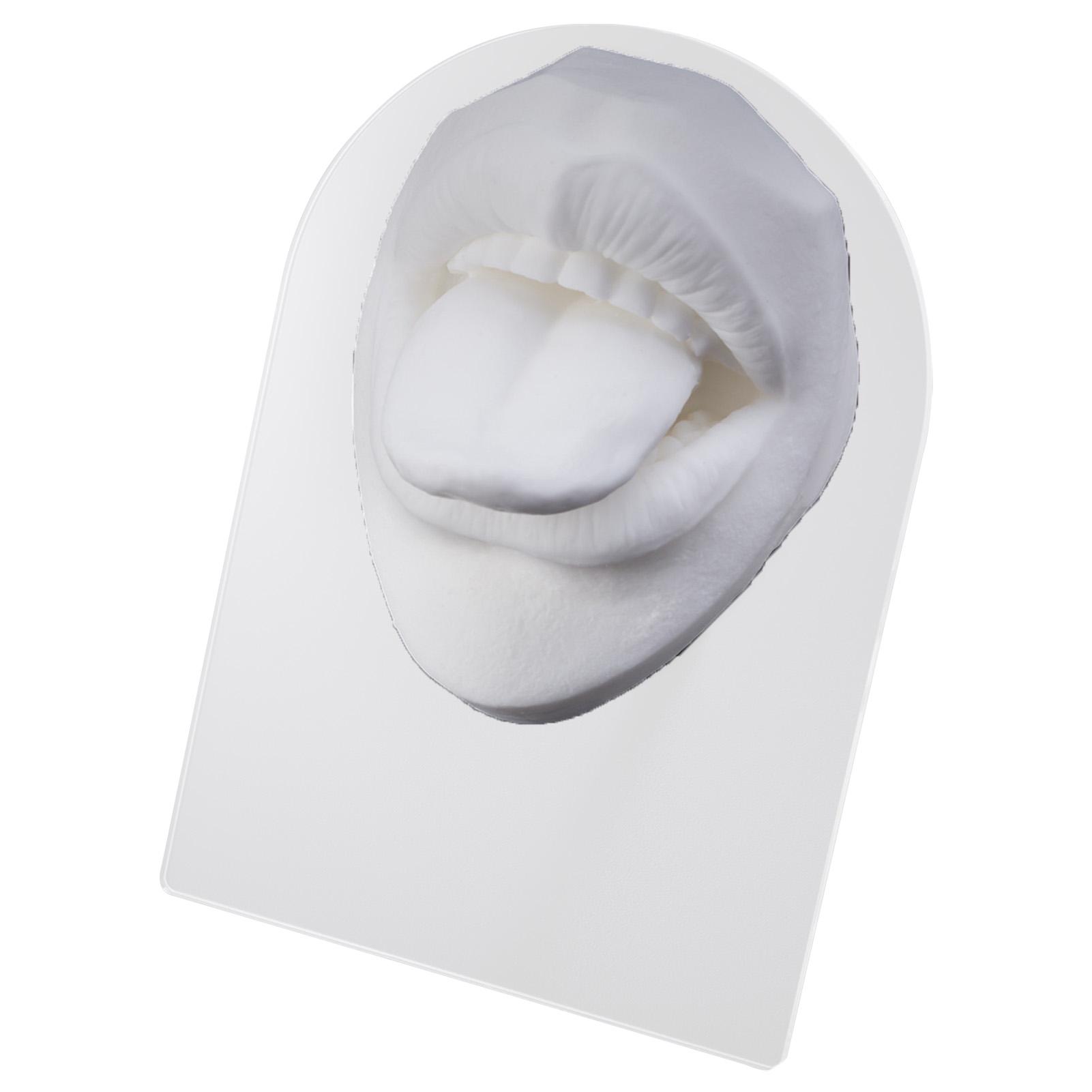 Fake Mouth Beginners Soft Silicone Mouth Model for Practicing Suture