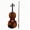 Tiger pattern bright light, variant on Solid Wood Violin Kit, 4/4 Full Size with Natural Gloss Finish