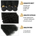 thumbnail image 3 of SEGO Brazilian Deep Wave Curly Human Hair Bundles Loose Wave 100% Unprocessed Virgin Hair Kinky Curly Hair Extensions Natural Black, 3 of 8