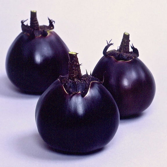 Eggplant Seeds - Kamo - 500 Mg Packet ~105 Seeds - Non-GMO, Heirloom - Asian Garden Vegetable