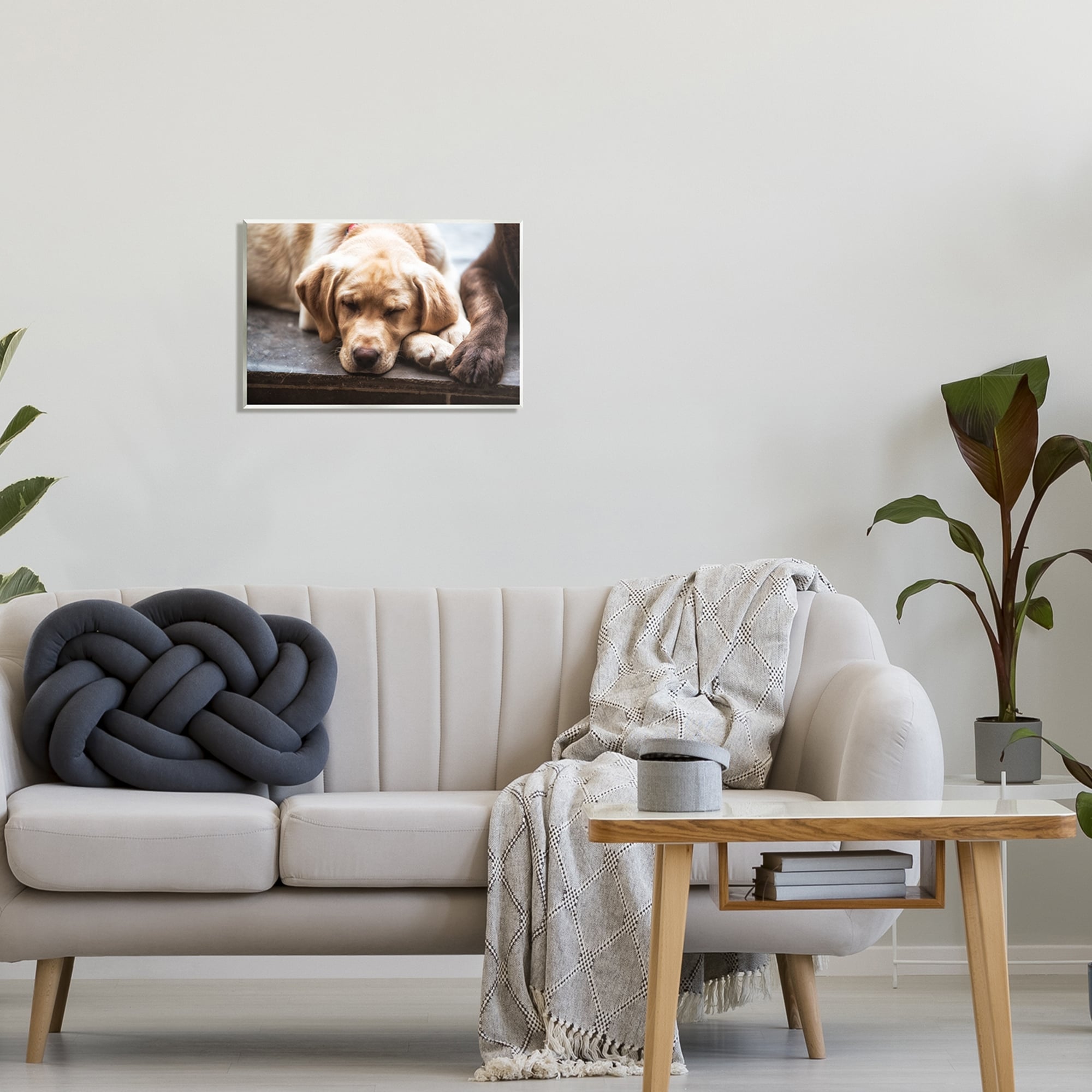Stupell Industries Sweet Sleeping Dogs Resting Paws Animal Photography Photograph Unframed Art Print Wall Art, Design by James Dobson