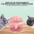 thumbnail image 3 of Puppy Feeder Bottle, Kitten Feeder, Puppy Milk Replacement Silicon Puppy Bottles, For Nursing with 4 Nipples, Puppy Feeders for Multiple Puppies Kitten, Mimics Breastfeeding, Safe Food Grade Materials, 3 of 8