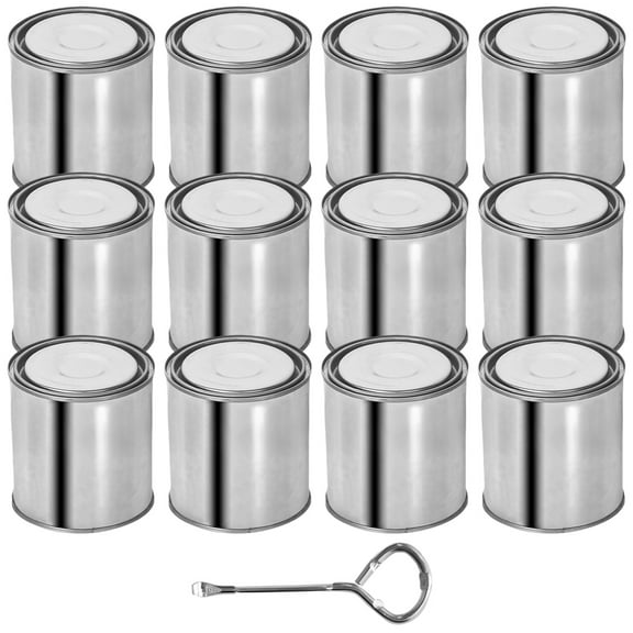 12 Pcs Empty Paint Cans, 0.5 L/0.5 Quart Paint Buckets with Lids, Metal Storage Containers, Leak-Proof Paint Storage with Can Opener, Ideal for Leftover Paint, DIY Projects