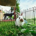 thumbnail image 5 of Decorative Garden Fence, 25-Pack No Dig Animal Barrier Border Fencing, 5 of 7