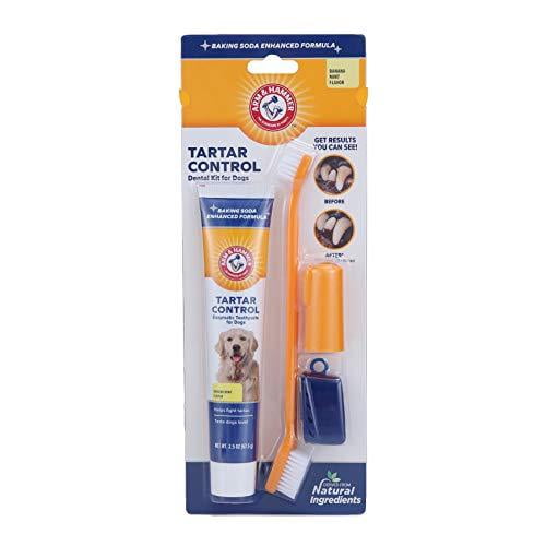 Arm & Hammer FFP6989PS Advanced Care 3-Piece Dental Kit with Toothbrush, Cover, and Toothpaste in Banana Mint Flavor, Single Pack