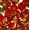 White, variant on Lilly Craft Red Apples on White Poly Cotton Fabric - Sold By The Yard - 58" / 60" Wide