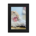 thumbnail image 1 of Organismo animal mono fotografia Marco de Fotos de escritorio imagen Arte Negro Pintura 5x7 pulgadas, 1 of 4