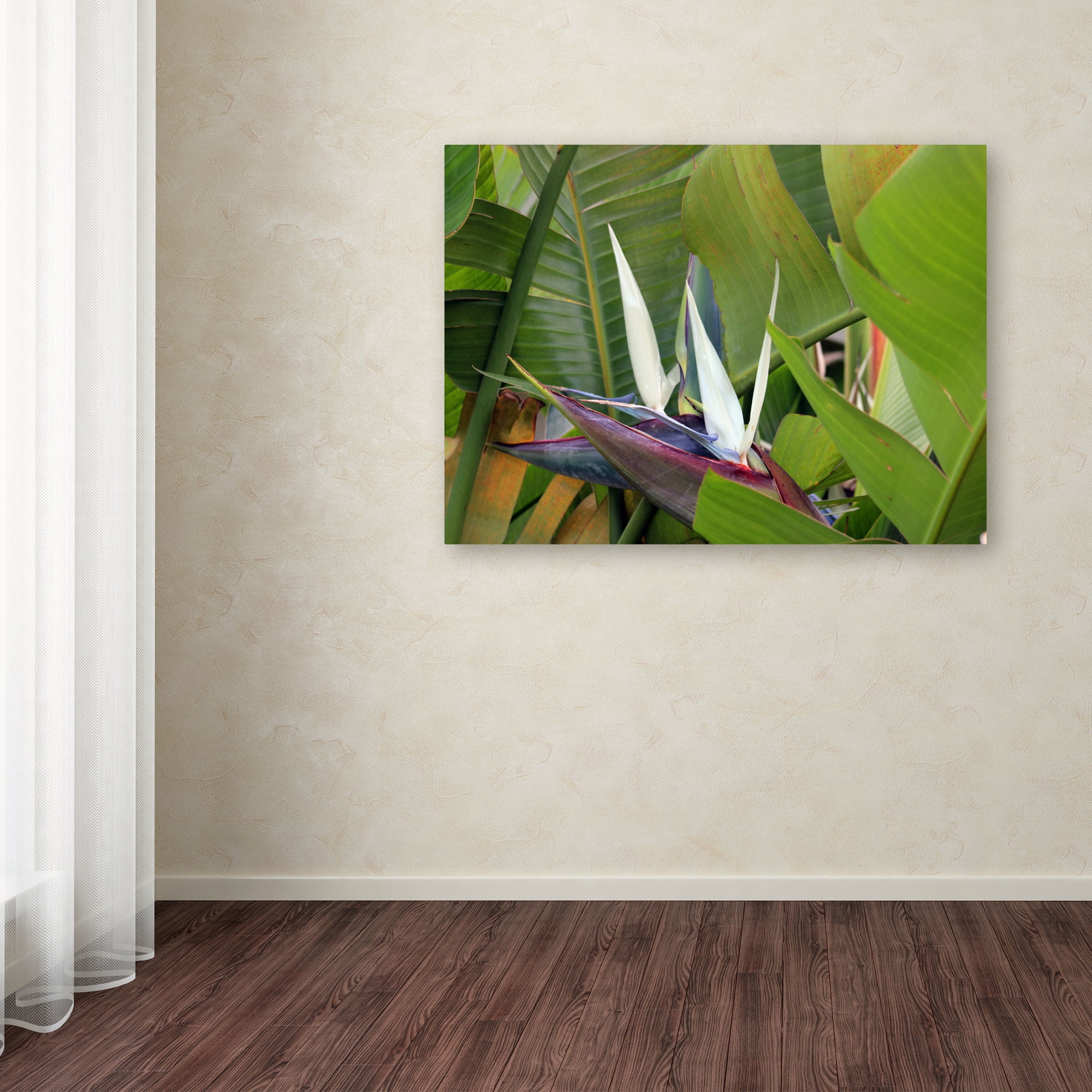 Trademark Fine Art "Paradise 2" Canvas Wall Art by Patty Tuggle