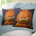 thumbnail image 3 of Garfield Fundas de almohada de terciopelo con tema, regalos de funda de almohada, decoración para el hogar, cojín de lanzar, regalo de cumpleaños para fans y parejas. 60cm x 60cm., 3 of 6