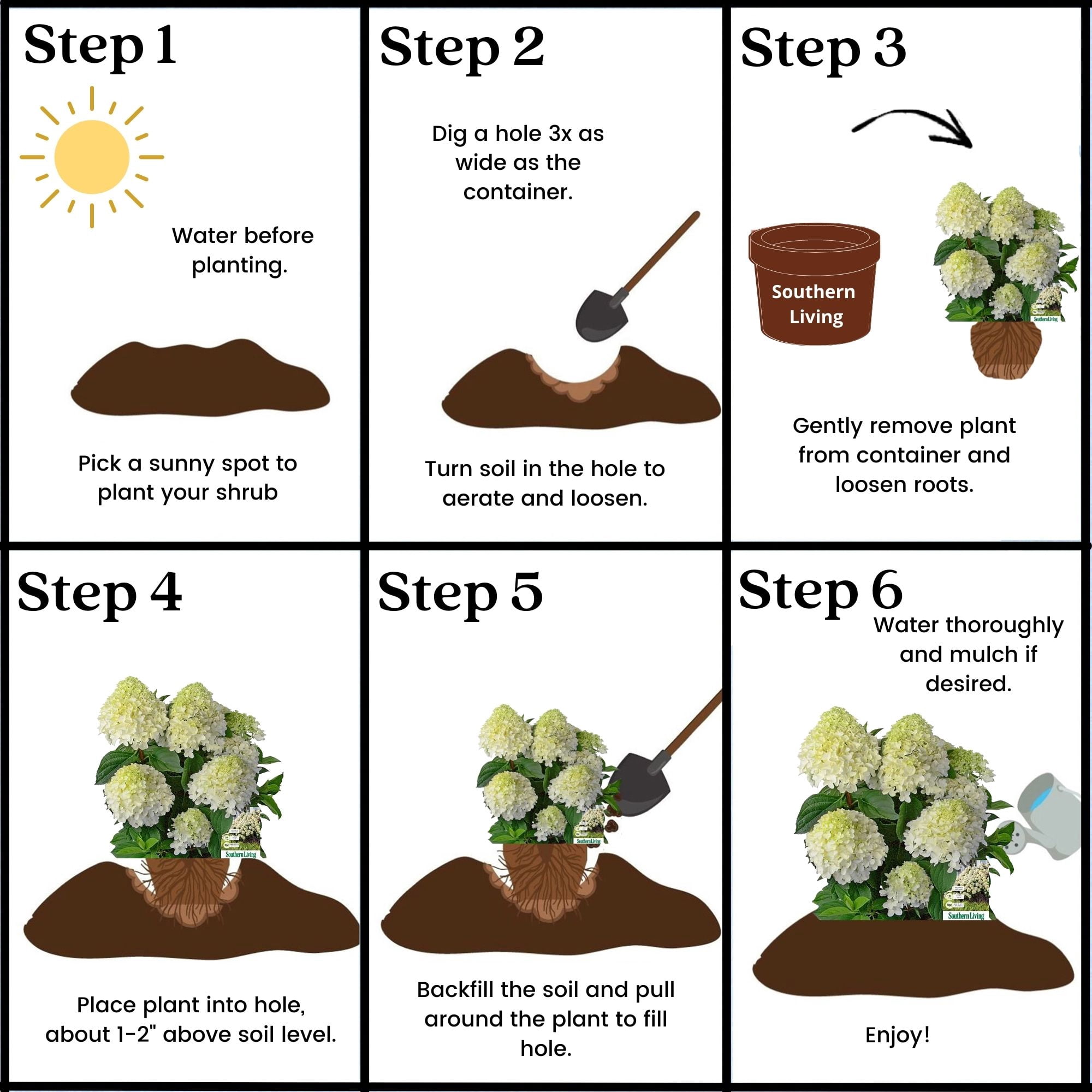 Southern Living Hydrangea White Wedding Live Shrub in 5-Gallon Grower Pot