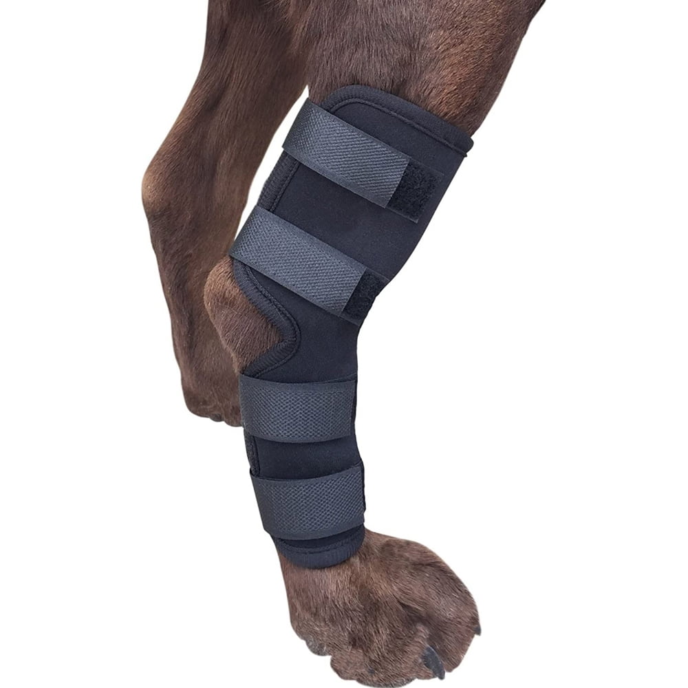 Ugerlov Dog Knee Brace,Dog Knee Brace for ACL, Knee Cap Dislocation, Arthritis - Keeps The Joint Warm,Reduces Pain,Compression Brace Heals and Prevents Injuries and Prevent Licking Large