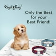 thumbnail image 4 of Regal Dog Products Dog Collar with Metal Buckle & D Ring - Fits Small, Medium, Large Dogs, 4 of 8