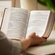 KJV Holy Bible: Large Print Single-Column with 43,000 End-Of-Verse Cross References, Brown Genuine Leather, Personal Siz, (Hardcover)