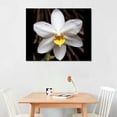 thumbnail image 2 of ONETECH Orchid Wall Art For Living room City Poster Canvas Prints Printing Home Office Decorations With Framed 16\x12\, 2 of 4
