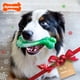 thumbnail image 2 of Juguete para Masticar Hueso Dental Curvo Nylabone Power para Perros Grandes, 2 of 9