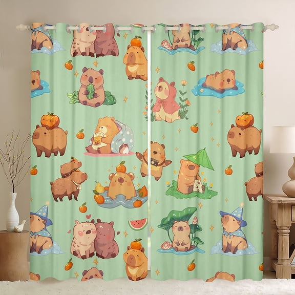 Feelyou Cartoon Capibara Teens Black Out Curtains, Lotus Flower Floral Curtains Pack of 2 (42x63 Each), Kawaii Orange Watermelon Bedroom Curtains, Curtains and Drapes Home Decor