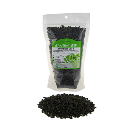 Organic Sunflower Sprouting Seeds (Shell On): 8 Oz - Non-GMO, Black Oil Sun Flower Seeds: Edible Seed, Gardening, Hydroponics, Growing Micro Salad Greens, Sprouting,
