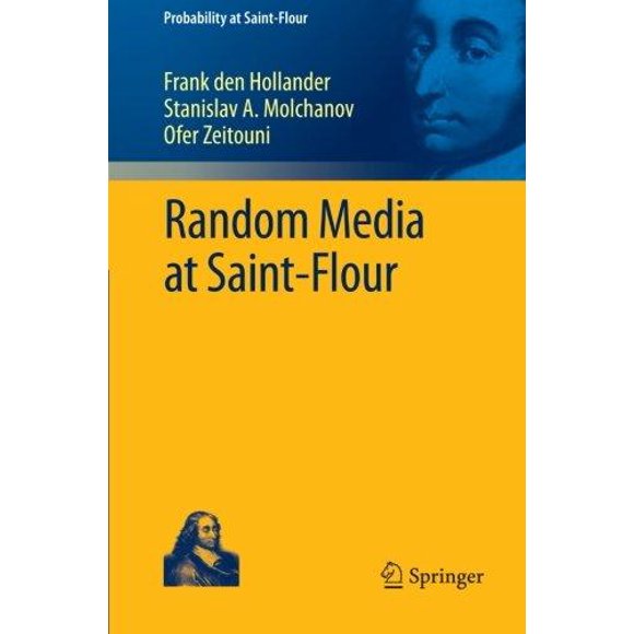 Random Media at Saint-Flour