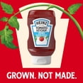 thumbnail image 4 of Heinz Tomato Ketchup with No Sugar Added, 13 oz Bottle, 4 of 19