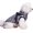 Sliver Grey, variant on BT Bear Pet Clothes, Dog Vest Jacket Waterproof Coat Harness Cold Weather Costume for Puppy Small Medium Dogs (S, Purple)