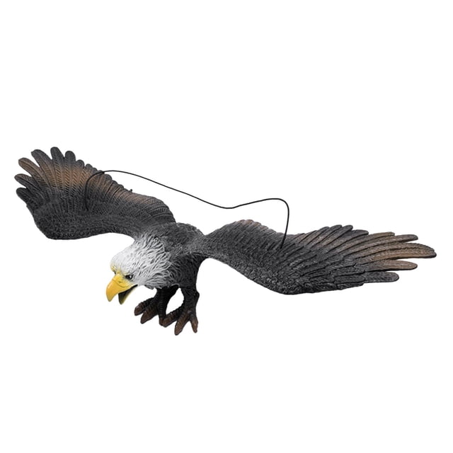 Modelo de águila simulada, muy detallado, duradero, accesorio de escena, figura de juguete de águila, animal cabeza blanca