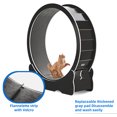 thumbnail image 4 of Dextrus 43.3 Inch Large Cat Exercise Wheel with Quiet Operation and Removable Carpet for Indoor Use, 4 of 10