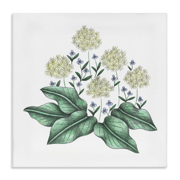 Hello Wildflower Vintage Sketch Canvas Wall Art, design by Cecilia Battaini