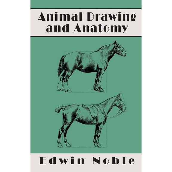 Animal Drawing and Anatomy (Paperback)